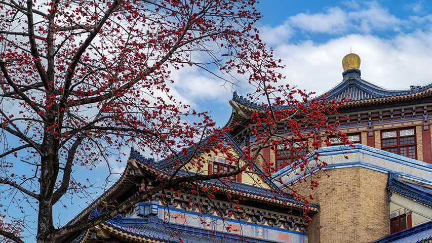 英雄花开英雄城